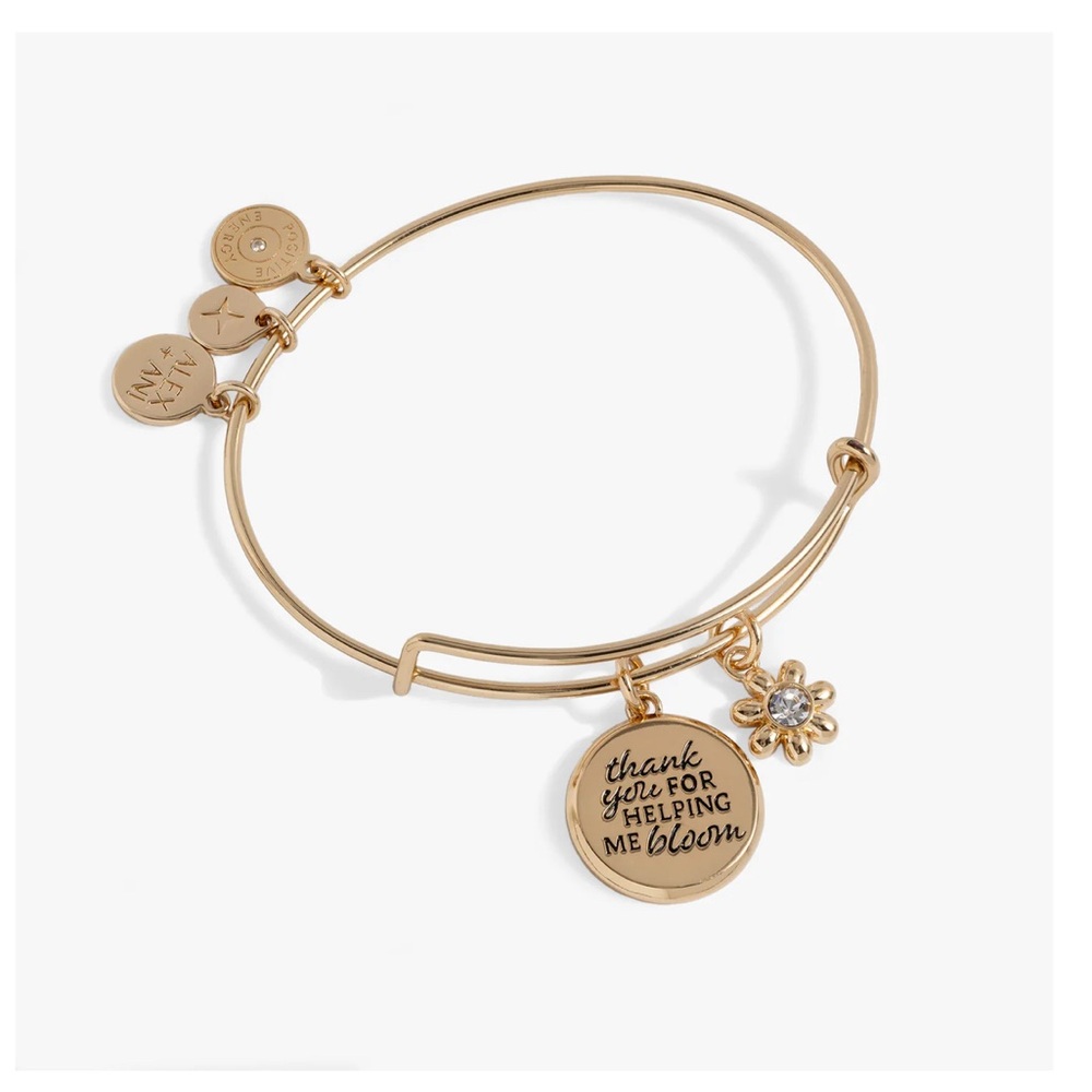 Alex and Ani Charm Bangle